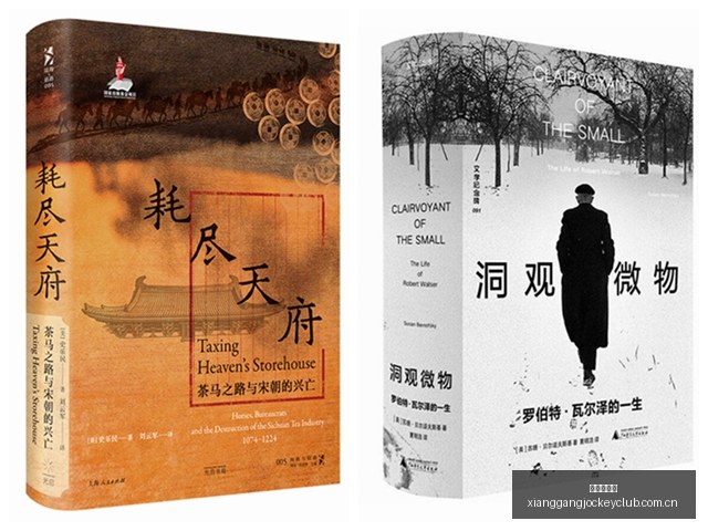 法国里昂体,育盛事大,齐祖转型铅,香港赛马,香港马会,赛马文化,赛马资讯
